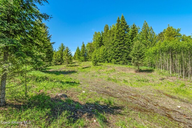 603 Schneiders Rd, Sagle, ID 83860 - photo 57