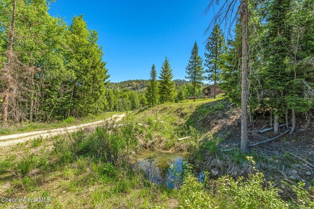 603 Schneiders Rd, Sagle, ID 83860 - photo 58