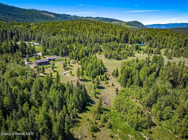 603 Schneiders Rd, Sagle, ID 83860 - photo 64