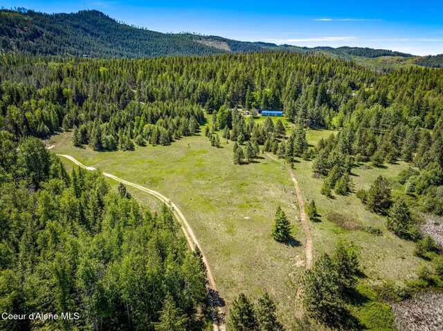 603 Schneiders Rd, Sagle, ID 83860 - photo 66