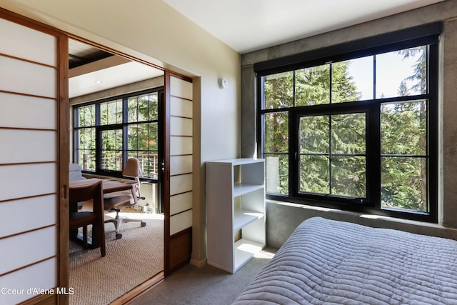 677 Telemark Rd Unit 1, Sandpoint, ID 83864 - carpeted bedroom featuring multiple windows and a desk