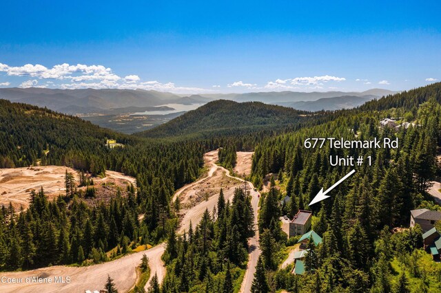 677 Telemark Rd Unit 1, Sandpoint, ID 83864 - mountain view with a forest