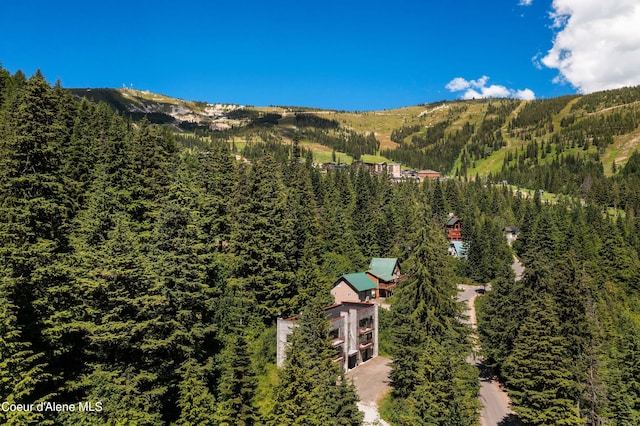 677 Telemark Rd Unit 1, Sandpoint, ID 83864 - view of mountain background with a forest