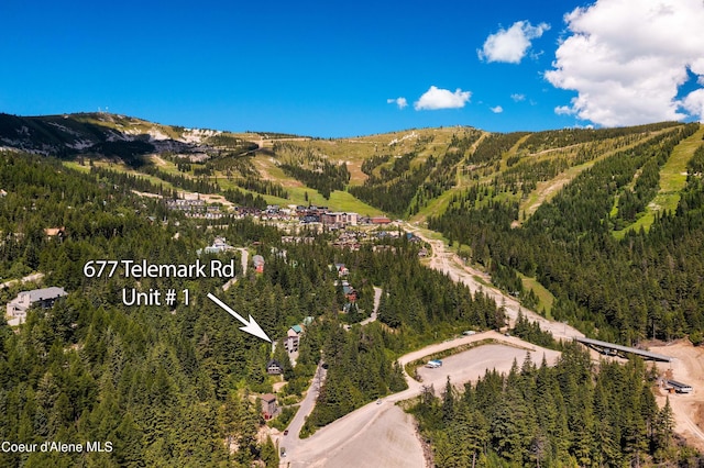 677 Telemark Rd Unit 1, Sandpoint, ID 83864 - view of mountain backdrop with a forest