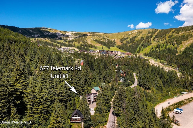 677 Telemark Rd Unit 1, Sandpoint, ID 83864 - mountain view featuring a heavily wooded area