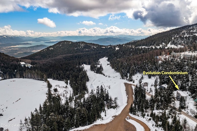 677 Telemark Rd Unit 1, Sandpoint, ID 83864 - view of mountain backdrop with a forest