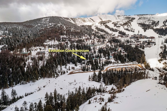 677 Telemark Rd Unit 1, Sandpoint, ID 83864 - view of mountain background