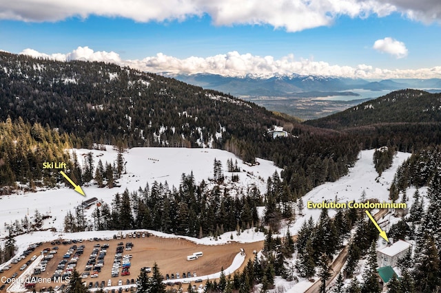 677 Telemark Rd Unit 1, Sandpoint, ID 83864 - snowy aerial view featuring a mountain view and a forest view