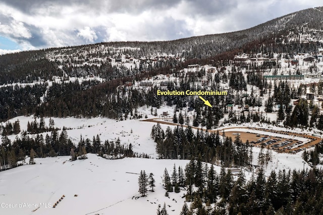 677 Telemark Rd Unit 1, Sandpoint, ID 83864 - view of mountain backdrop