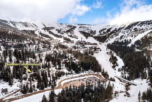 677 Telemark Rd Unit 1, Sandpoint, ID 83864 - mountain view