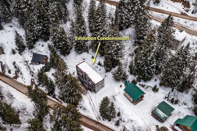 677 Telemark Rd Unit 1, Sandpoint, ID 83864 - view of snowy aerial view