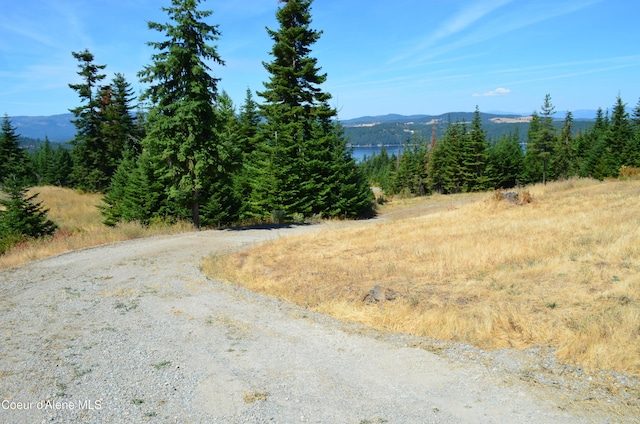 L2B9 Kapalua Rd, Harrison, ID 83833