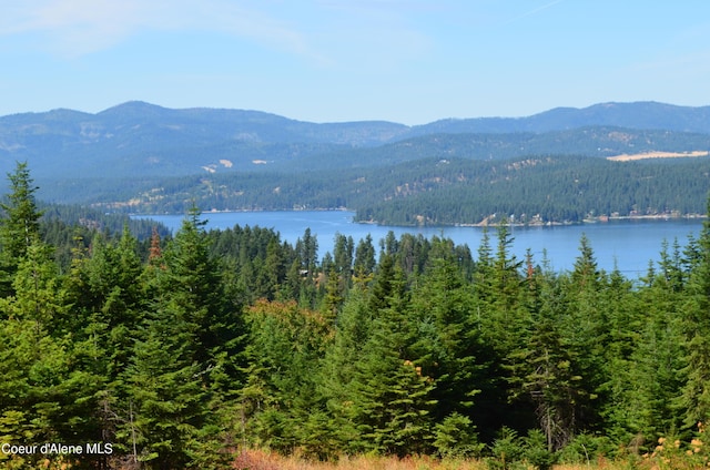 L2B9 Kapalua Rd, Harrison, ID 83833