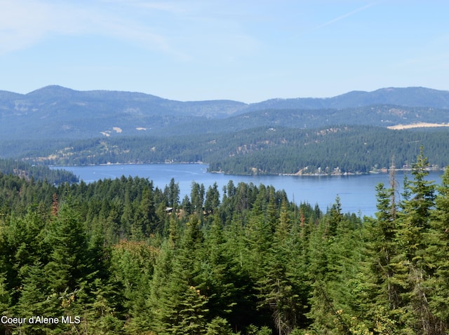 L2B9 Kapalua Rd, Harrison, ID 83833