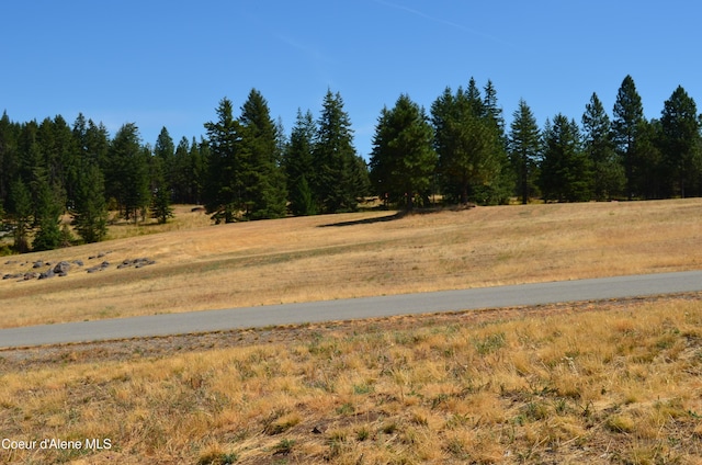 L2B9 Kapalua Rd, Harrison, ID 83833