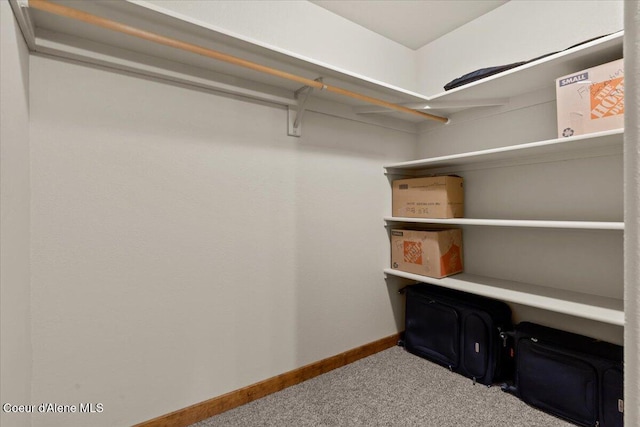 438 Berry Hl, Cocolalla, ID 83813 - spacious closet with carpet flooring