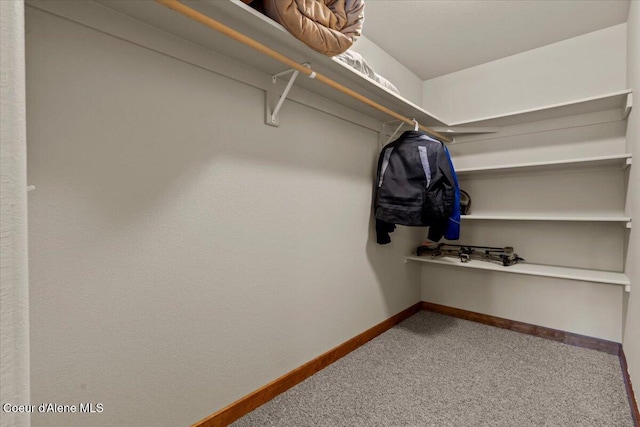 438 Berry Hl, Cocolalla, ID 83813 - walk in closet featuring carpet floors