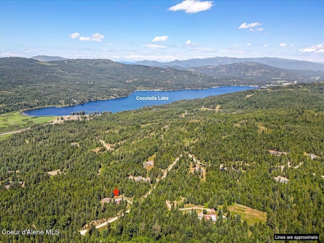 438 Berry Hl, Cocolalla, ID 83813 - bird's eye view of a water and mountain view