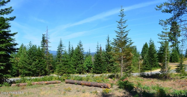 L2B4 Kula Rd, Harrison, ID 83833