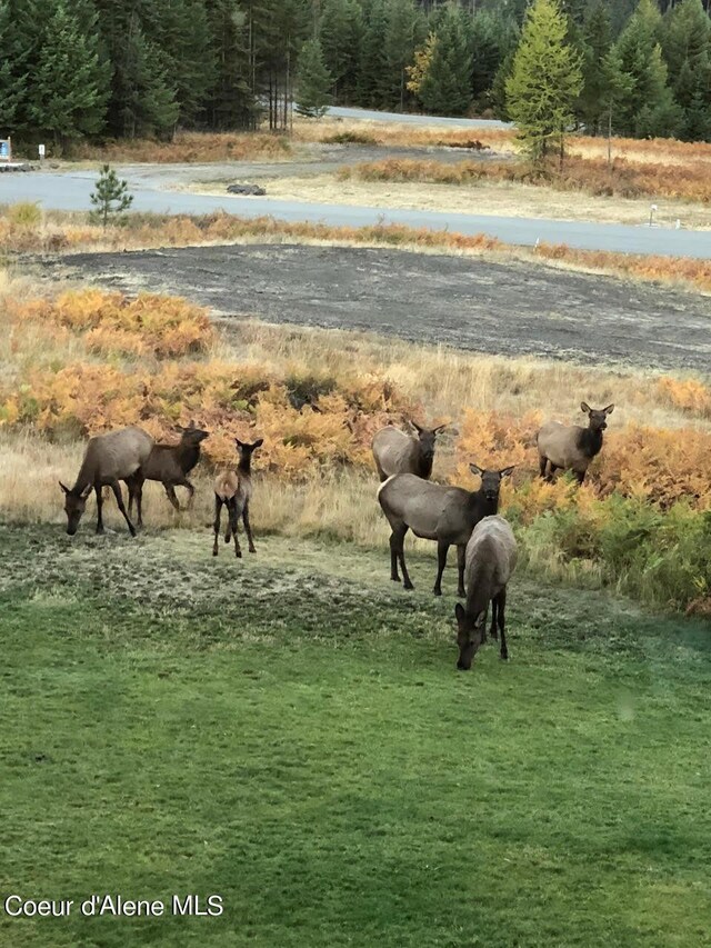 L2B4 Kula Rd, Harrison, ID 83833