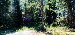 L2B4 Kula Rd, Harrison, ID 83833