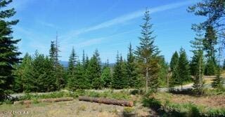 L2B4 Kula Rd, Harrison, ID 83833
