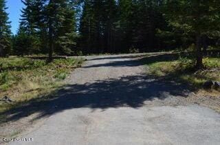 L2B4 Kula Rd, Harrison, ID 83833