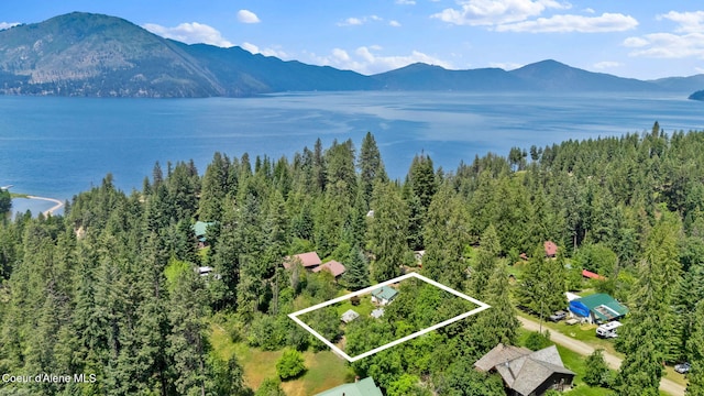 498 Lakeview Rd, Bayview, ID 83803 - aerial view of property's location with property parcel outlined and a water and mountain view