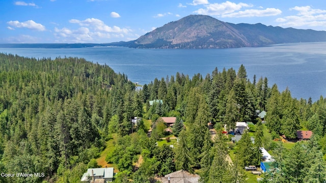 498 Lakeview Rd, Bayview, ID 83803 - drone / aerial view of a water and mountain view