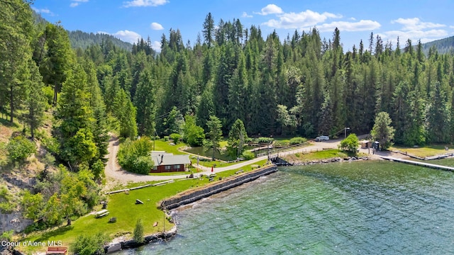 498 Lakeview Rd, Bayview, ID 83803 - drone / aerial view of a heavily wooded area and a large body of water