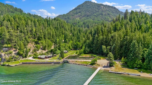498 Lakeview Rd, Bayview, ID 83803 - view of mountain background featuring a forest and a nearby body of water