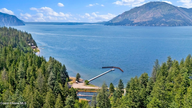 498 Lakeview Rd, Bayview, ID 83803 - water view featuring a mountainous background