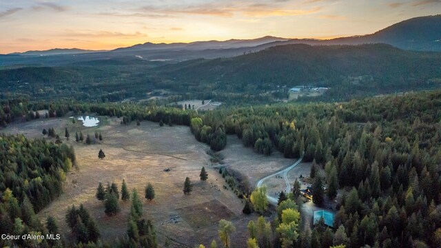4575 Blacktail Rd, Careywood, ID 83809 - photo 9
