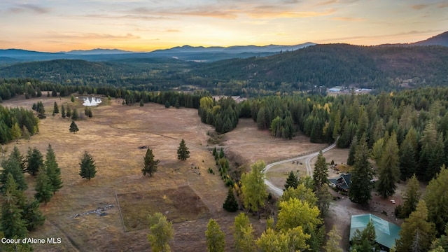 4575 Blacktail Rd, Careywood, ID 83809 - photo 4