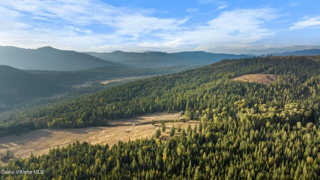 4575 Blacktail Rd, Careywood, ID 83809 - photo 20