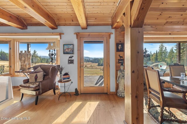 4575 Blacktail Rd, Careywood, ID 83809 - photo 44