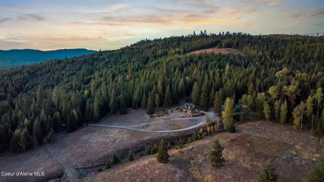 4575 Blacktail Rd, Careywood, ID 83809 - photo 54