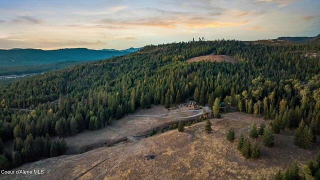 4575 Blacktail Rd, Careywood, ID 83809 - photo 55