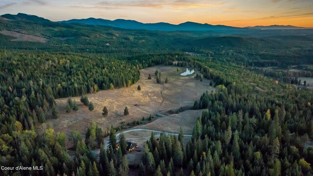 4575 Blacktail Rd, Careywood, ID 83809 - photo 56