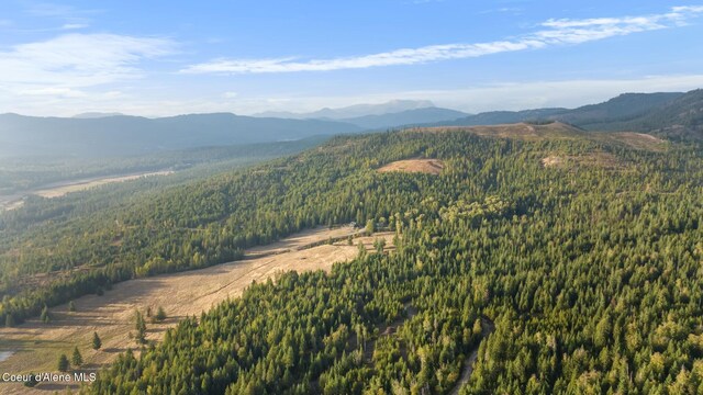 4575 Blacktail Rd, Careywood, ID 83809 - photo 65