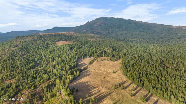 4575 Blacktail Rd, Careywood, ID 83809 - photo 66
