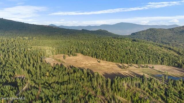 4575 Blacktail Rd, Careywood, ID 83809 - photo 69