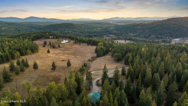 4575 Blacktail Rd, Careywood, ID 83809 - photo 72