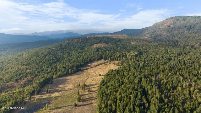 4575 Blacktail Rd, Careywood, ID 83809 - photo 73