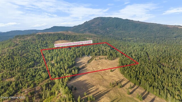 4575 Blacktail Rd, Careywood, ID 83809 - photo 67
