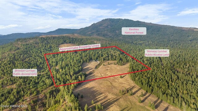 4575 Blacktail Rd, Careywood, ID 83809 - photo 68