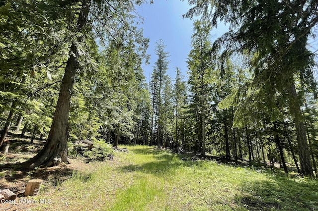 601 Coyote Trl, Sandpoint, ID 83864