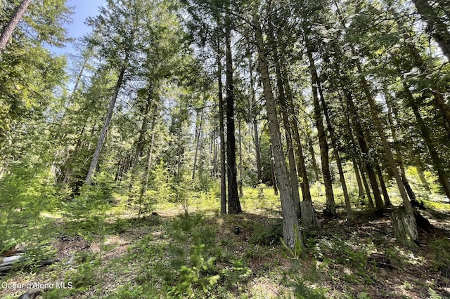 601 Coyote Trl, Sandpoint, ID 83864