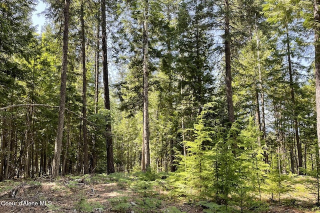 601 Coyote Trl, Sandpoint, ID 83864