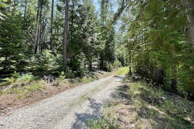601 Coyote Trl, Sandpoint, ID 83864